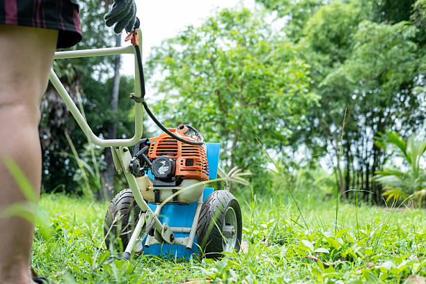 5 Real Ways to Keep Your Dallas Lawn Green Through Triple-Digit Heat