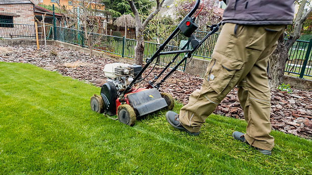 What a Full-Service Lawn Plan Includes in Plano