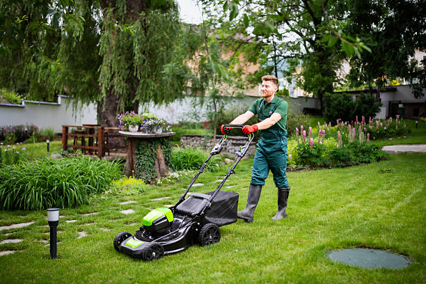 Weekly vs Biweekly Mowing in Frisco: What It Costs