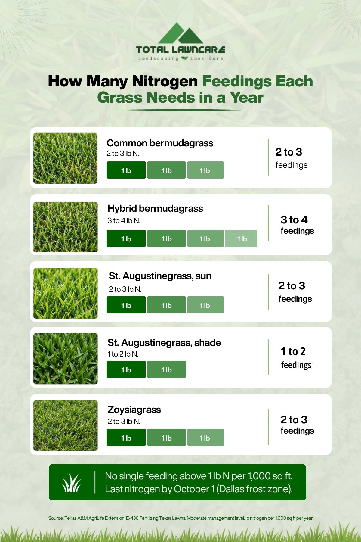 How Many Nitrogen Feedings Each Grass Needs Nitrogen feedings per year for bermuda, St. Augustine, and zoysia grass