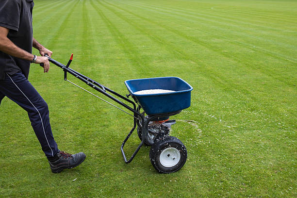 Count the Nitrogen, Not the Visits: Fertilizer Programs in Allen and Frisco