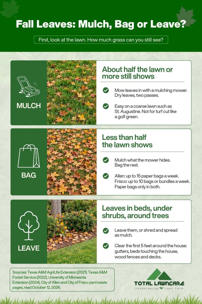 Fall Leaves: Mulch, Bag or Leave? when to mulch, bag or leave fall leaves based on how much of the lawn still shows
